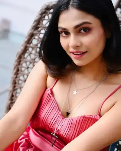 Call Girls Service in Pallipattu
