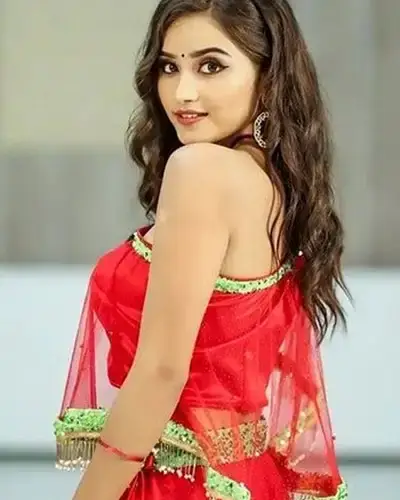Call Girls Service Pallipattu